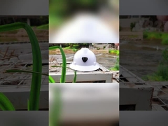 Van de de Veiligheidshelm EN397 6 van het antischokwerk Hoofd de Puntenopschorting voor Electric Power